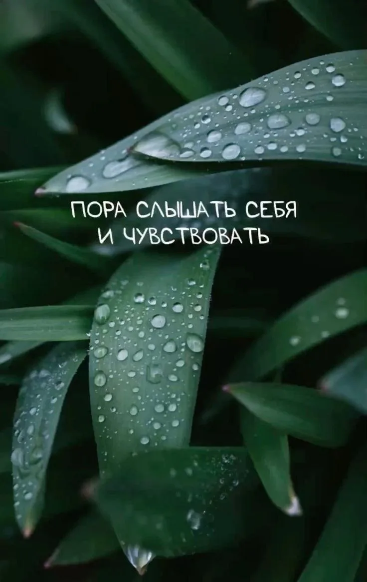 🤍  САМОЦЕННОСТЬ.
