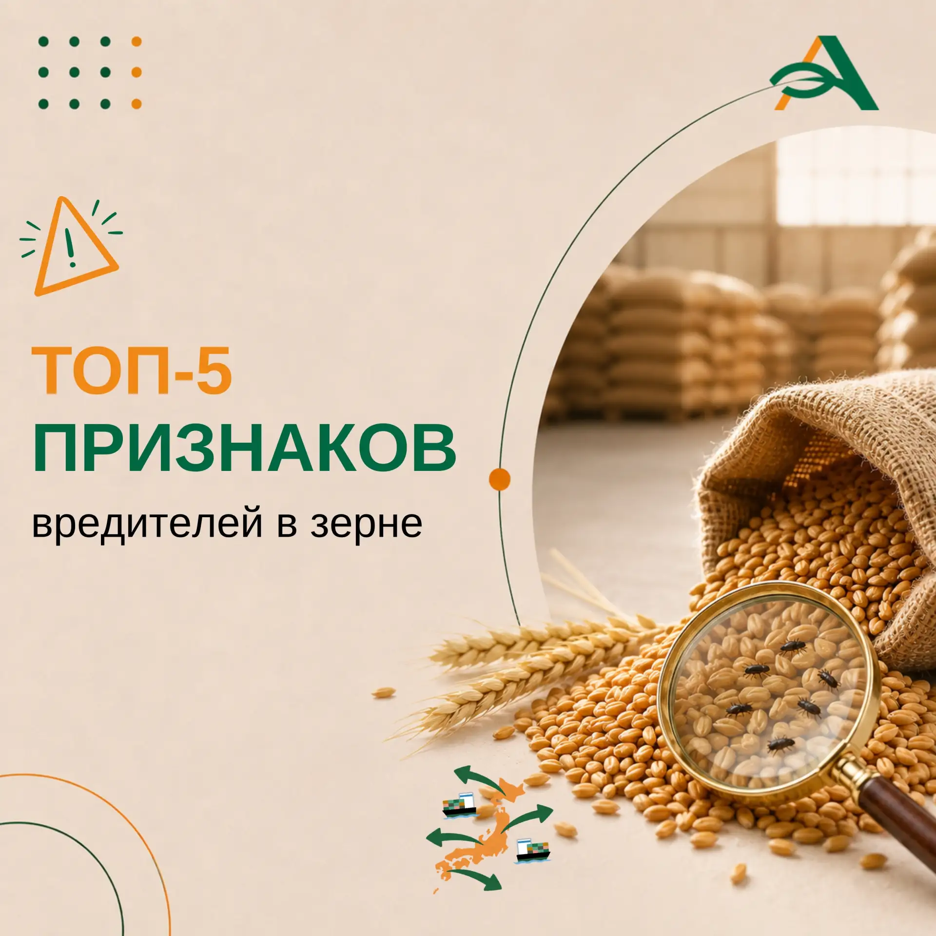 ⚠️ Как распознать вредителей в зернах на складе — топ-5 признаков