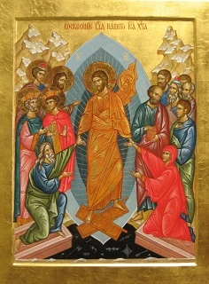 🕊️ Христос Воскресе! Дорогие Братья и Сестры, с добрым утром!  🌿 Сегодня главный церковный Праздник 