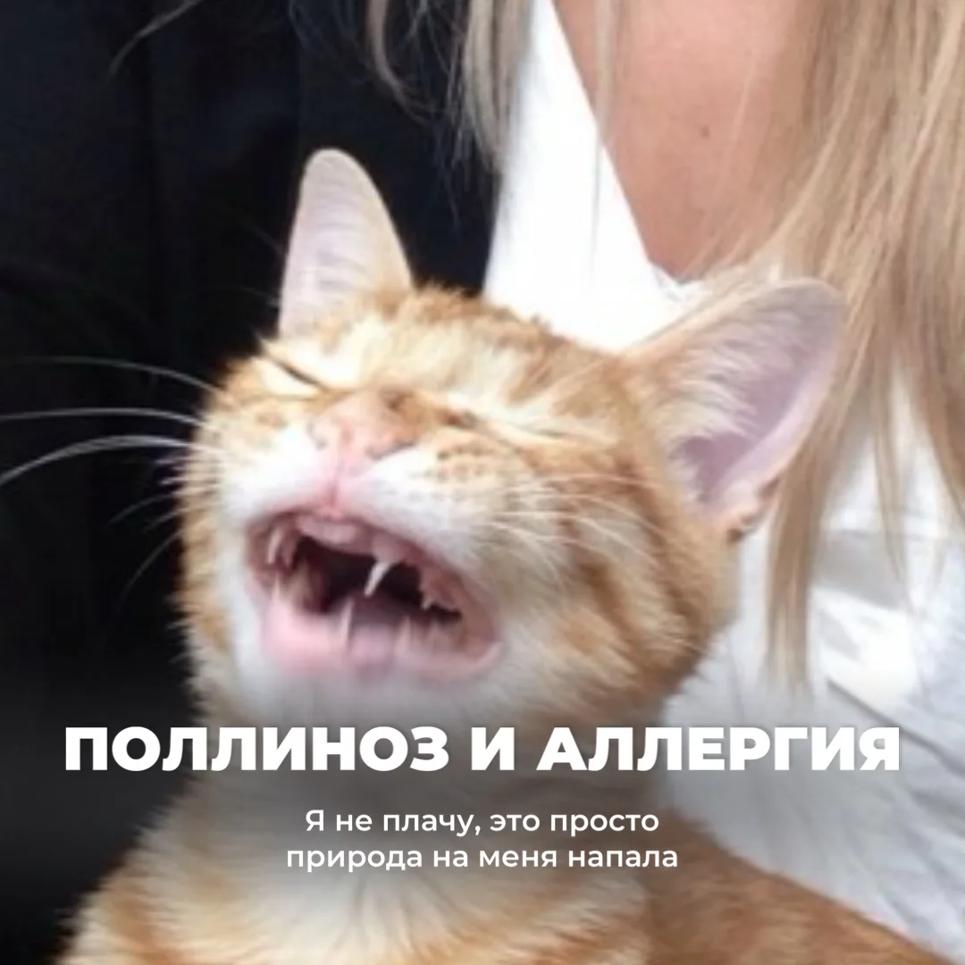 Поговорим честно? 🤫  Я тут на приеме узнала, что вы стесняетесь писать в чат свои вопросы. Давайте с