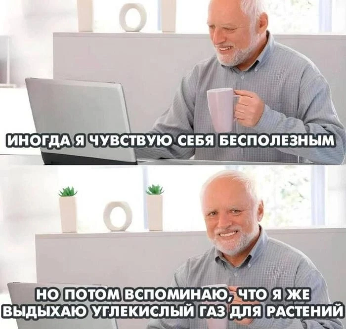 Россияне перестали искать смысл жизни, - исследование