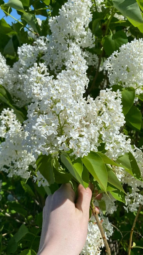 🌷С первым днем весны и воскресным утром!