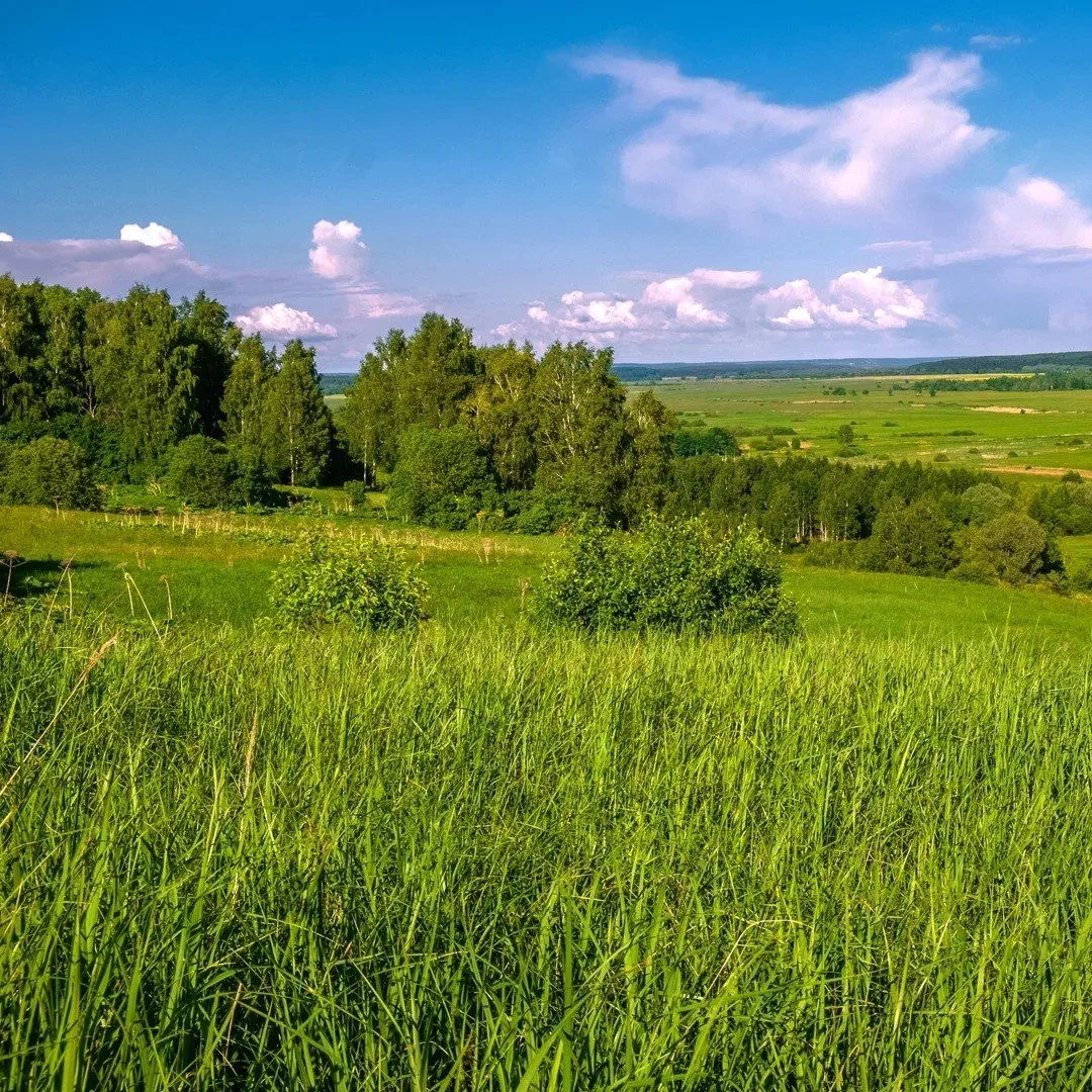 Калужские просторы
Фото Эдуарда Сычева