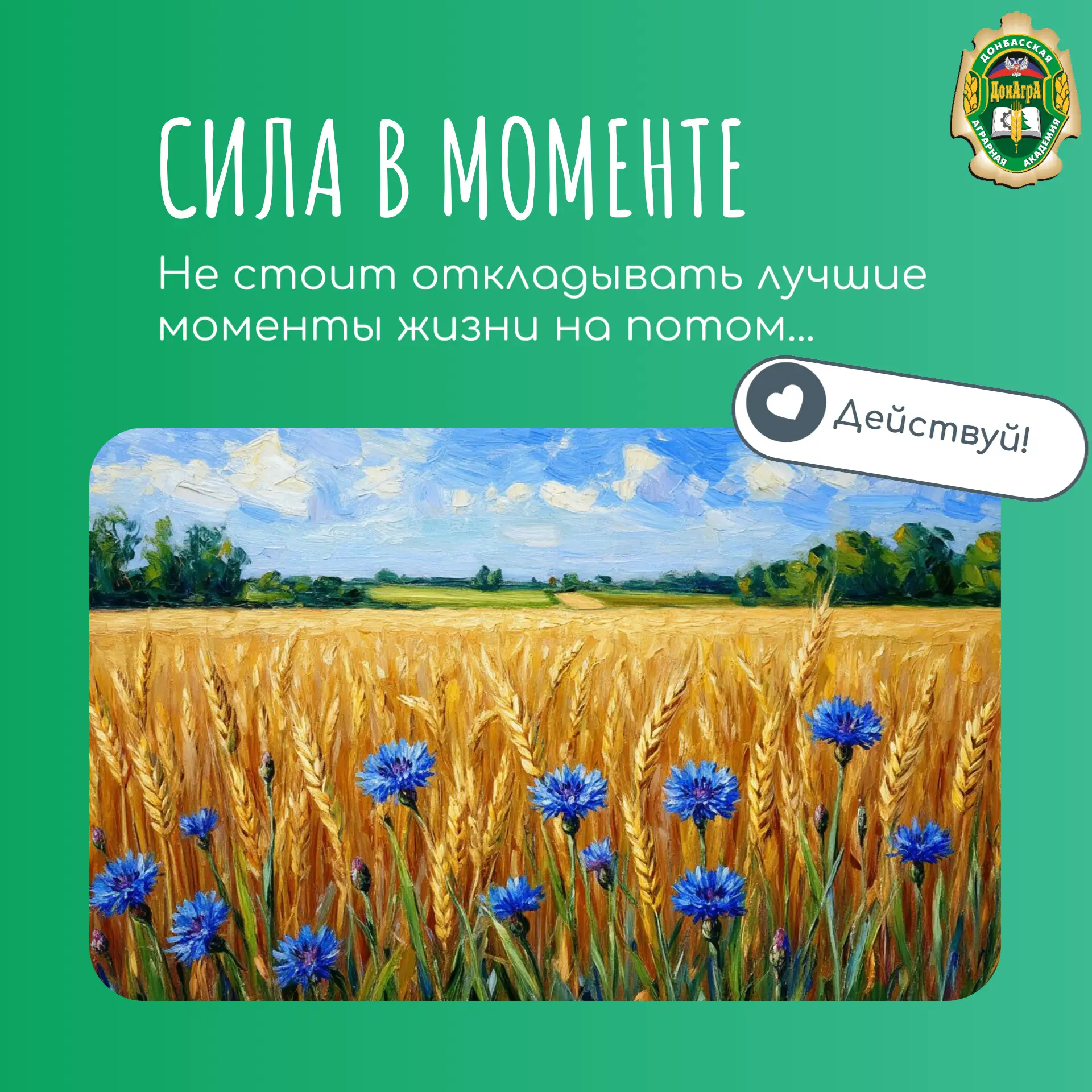 #ДОНАГРА