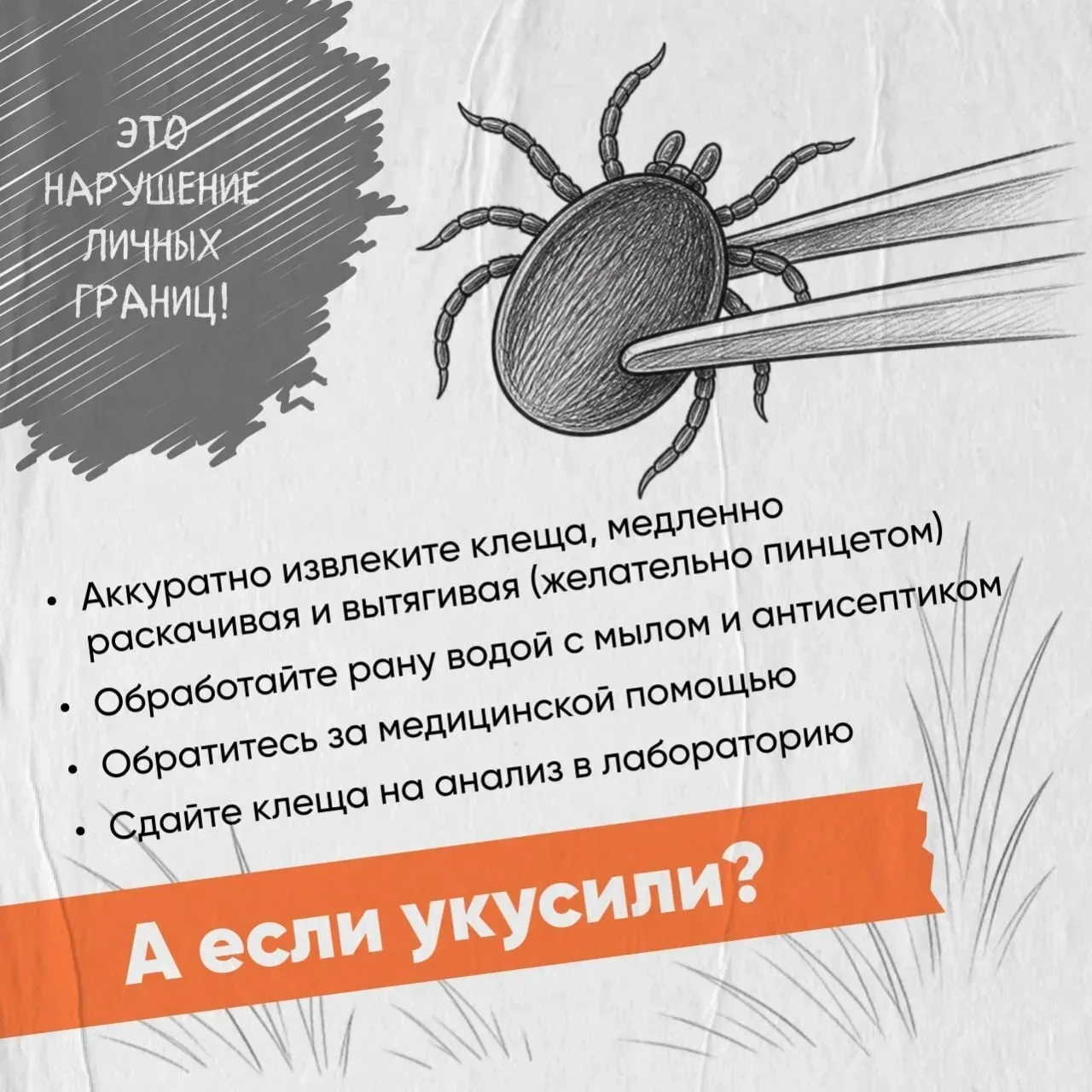 Осторожно, клещи!