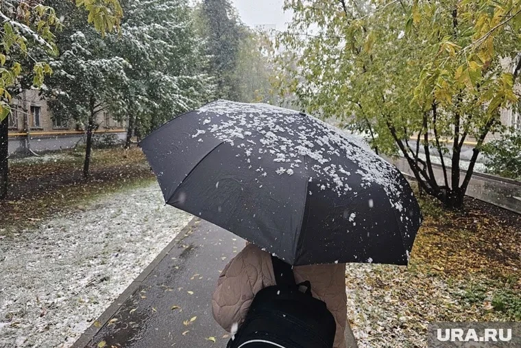 ❄️ Первый снег в Тюмени: когда ждать?
