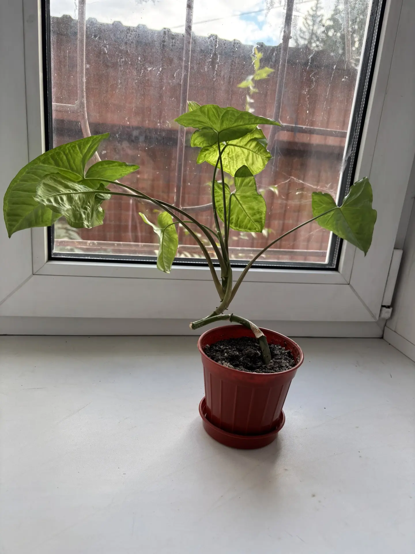 Какую мне сегодня красоту принесли 😍