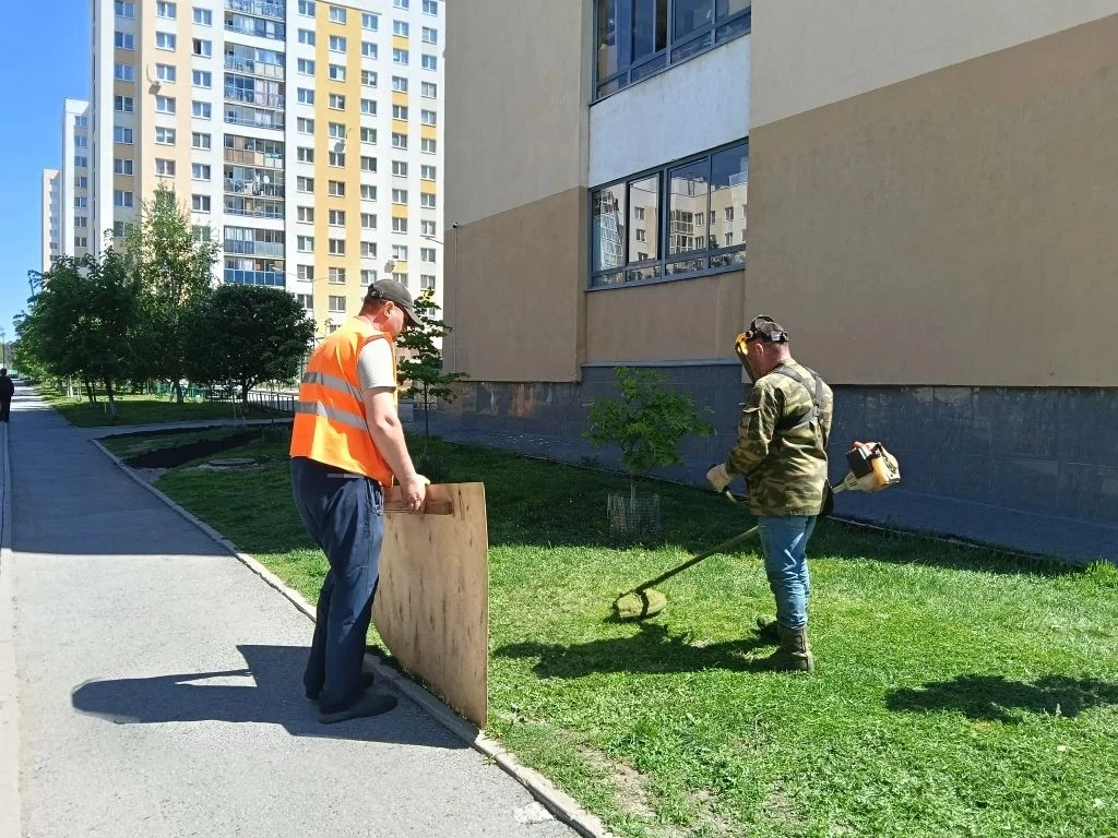 В Академическом начали стричь газоны – для красоты и безопасности   В этом году из-за аномально тепл