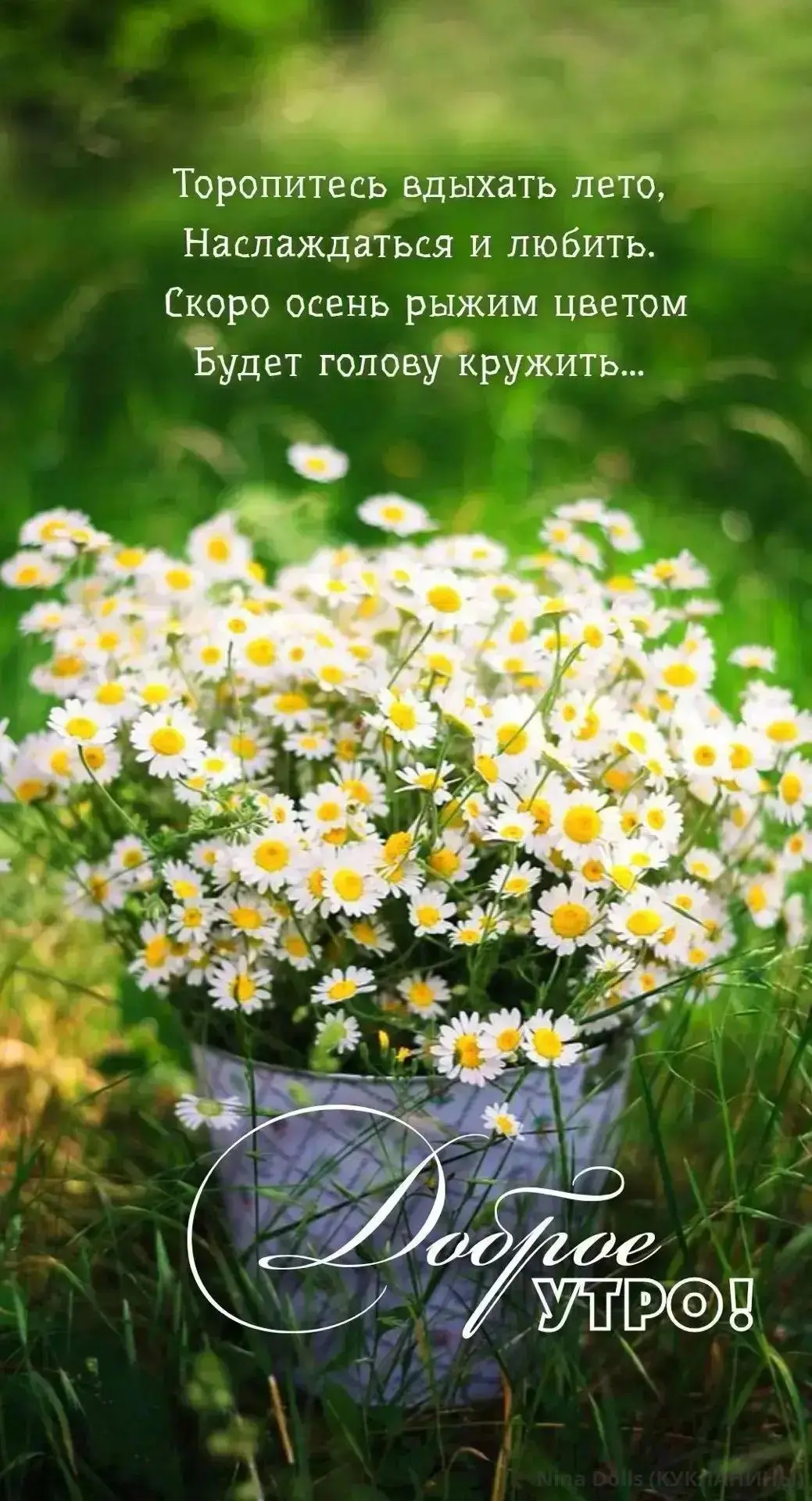 Доброе утро, мои хорошие! ☀️❤️