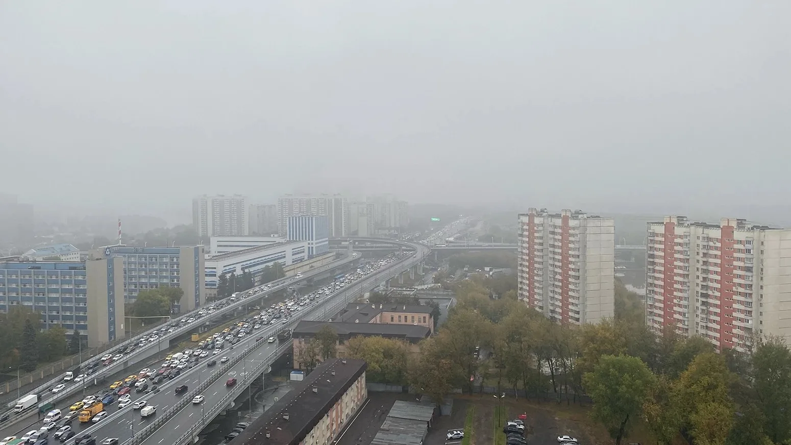 🌫️ Желтый уровень опасности объявили в Московском регионе из-за ожидаемого тумана ночь...