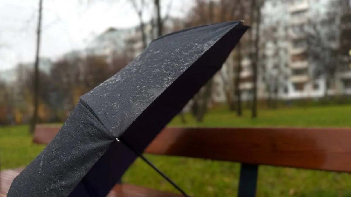🌦 В Самарской области похолодает до +11 градусов.

31 июля после аномальной жары в регион придёт ат