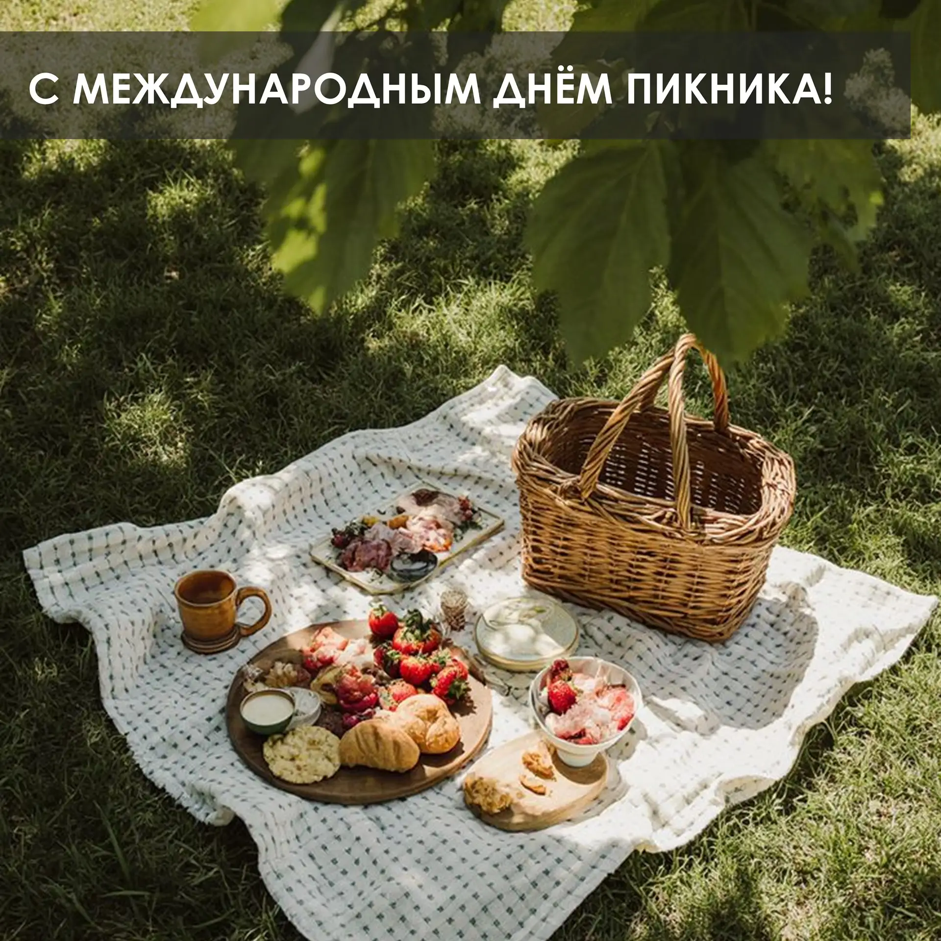 Доброе утро, друзья! Сегодня тот самый день, когда можно официально отложить дела, расстелить плед и