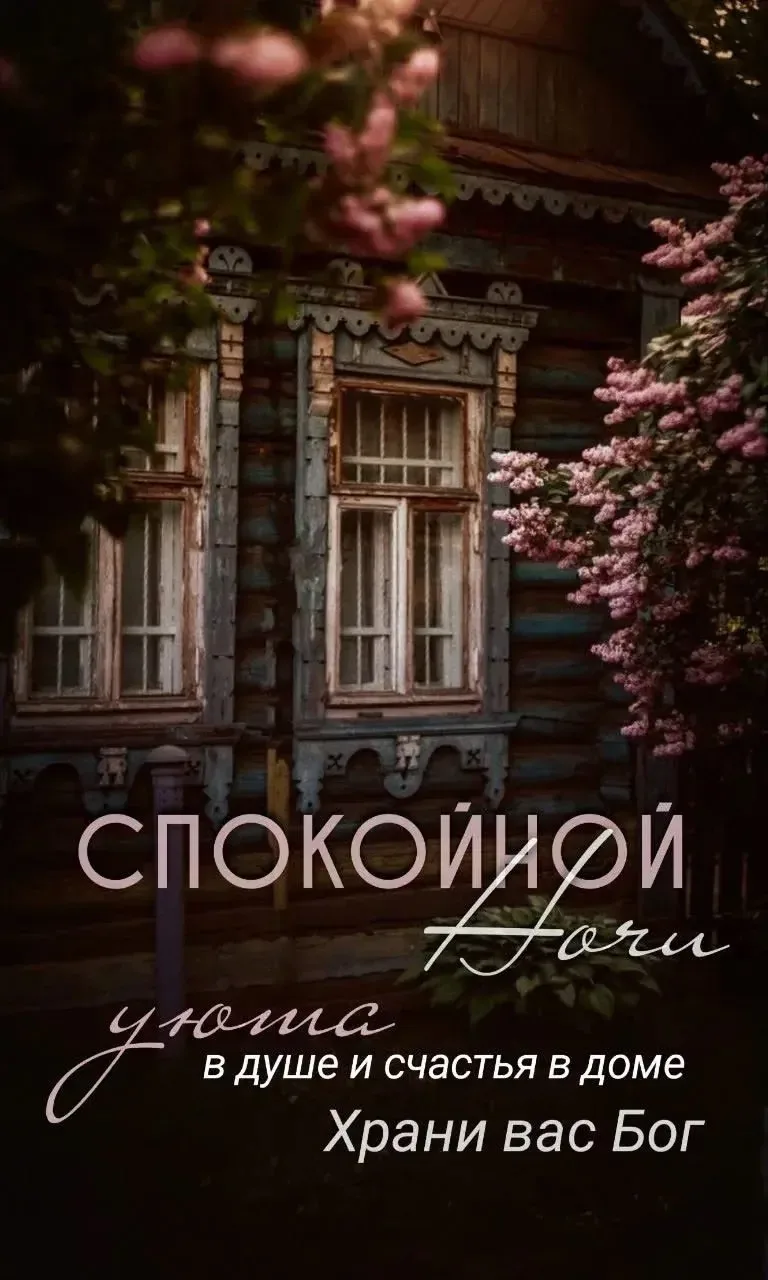 #спокойнойночи