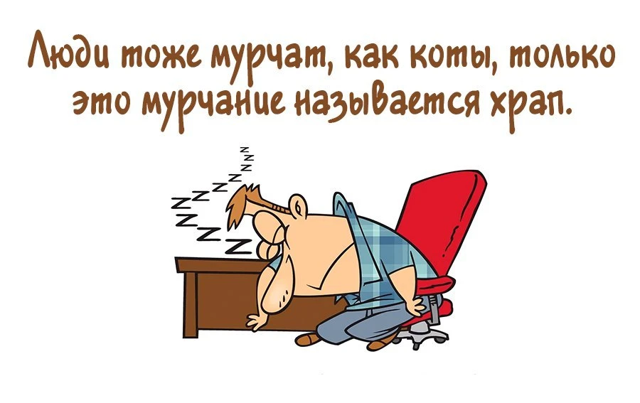 Я уже просто не могу спать в комнатах по двадцать, сорок и шестьдесят квадратных метров...