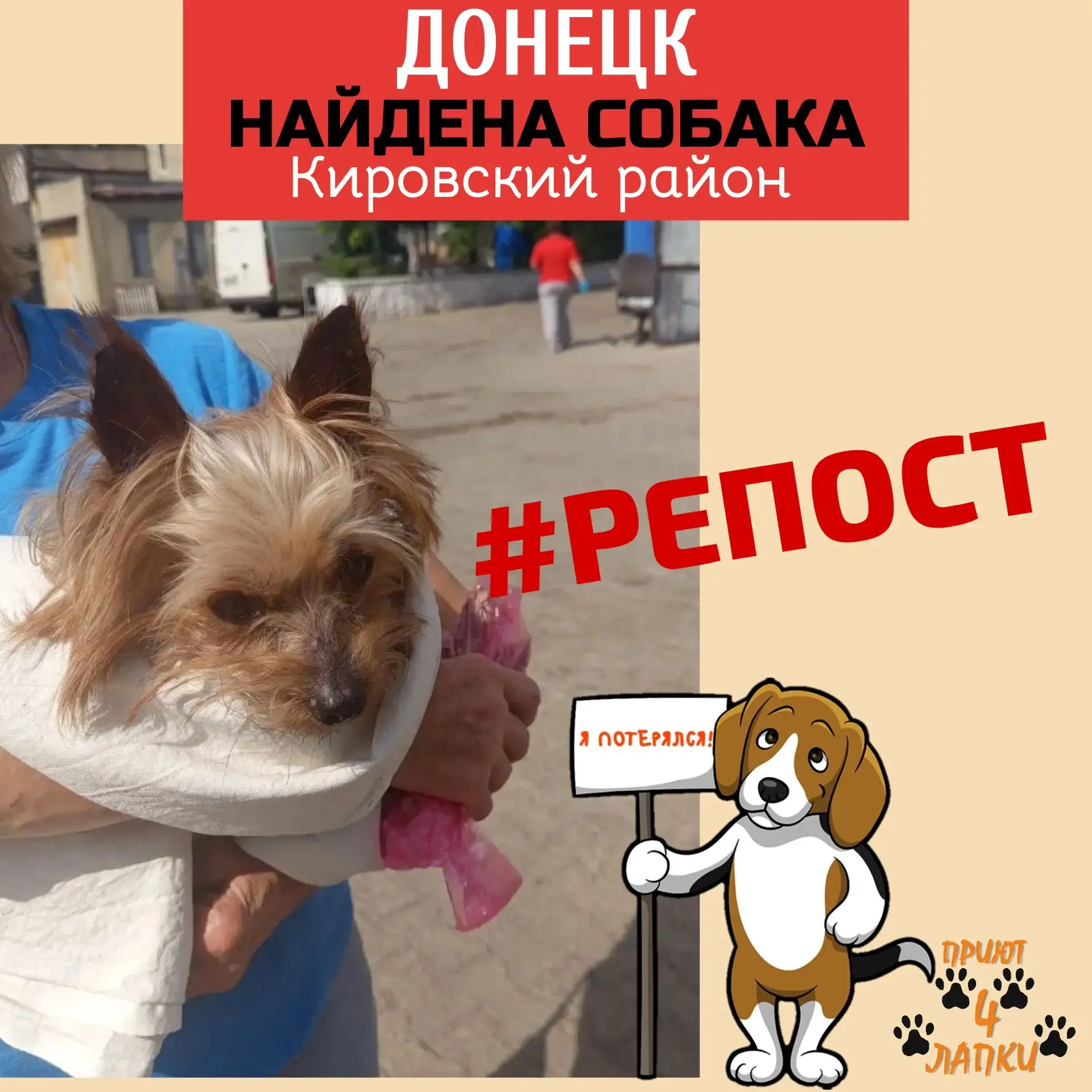⚠ЧЕЙ ПОТЕРЯШКА?⚠
❗Донецк❗Кировский район
⛔Максимальный↪️️РЕПОСТ⛔
На Лидиевке найден старенький йорк,