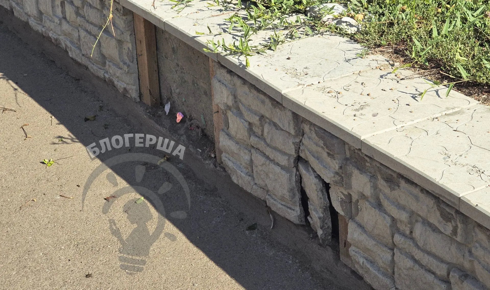 Вы тоже заметили?

На площади Ленина можно любоваться не только скромными клумбами. У нас снова разв