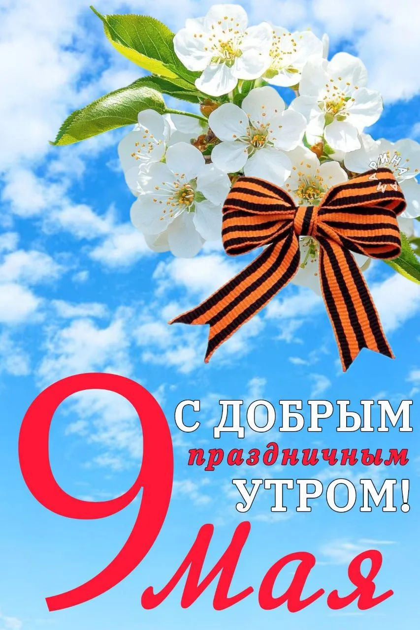 С Днём Победы!
9 Мая — особая дата для каждого из нас. Это день памяти, гордости и благодарности. В 