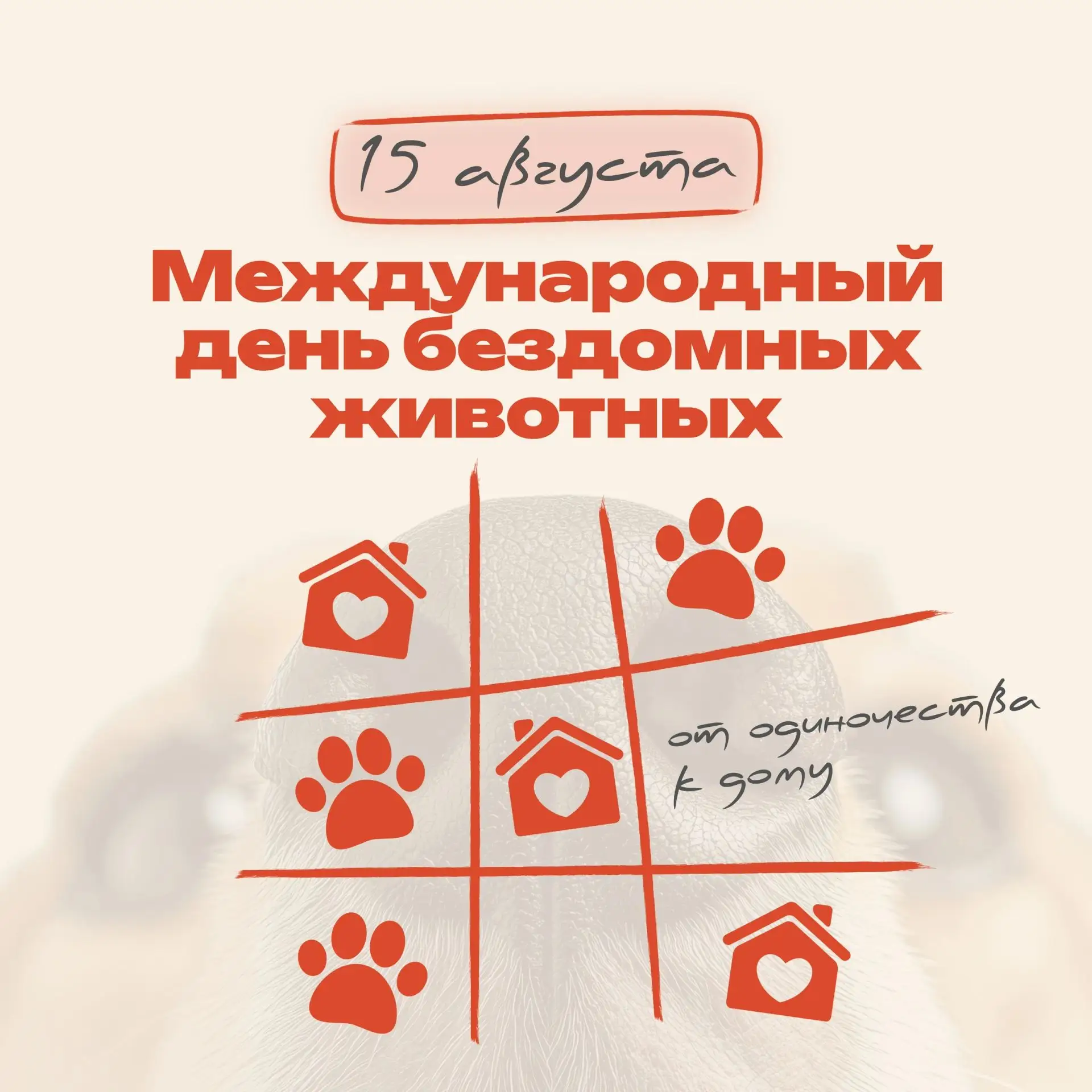 🐕🐈15 августа — Международный день бездомных животных🫶