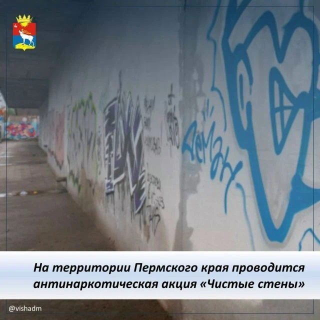 С 1 по 30 июня 2026 года в Пермском крае пройдёт антинаркотическая акция «Чистые стены».