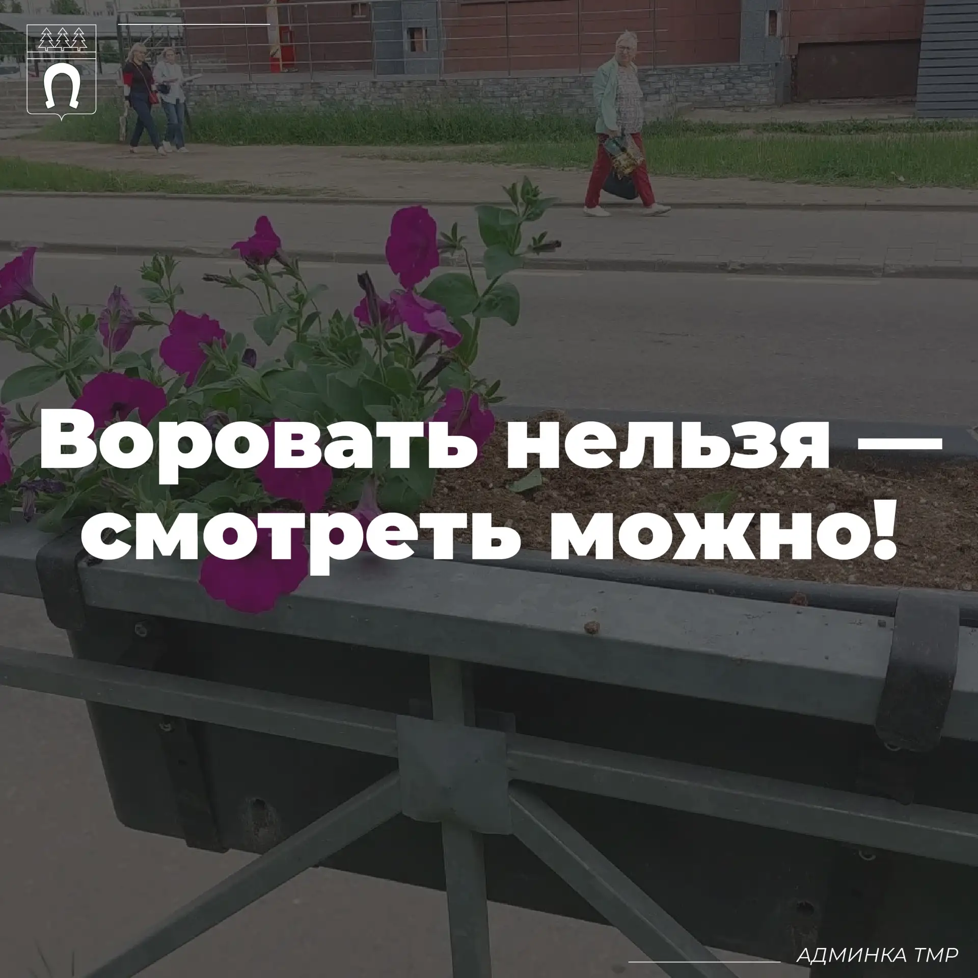 Лето - пора преображений 🌸