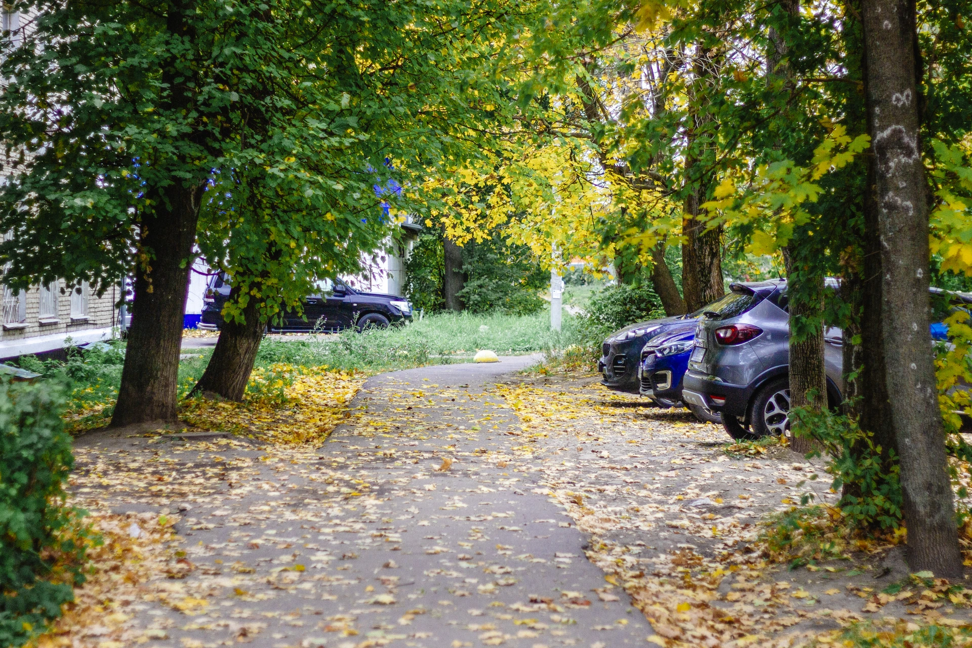 🍂 Сегодня 3 октября — суббота. Кашира проведёт день под знаком прохладного северного в...