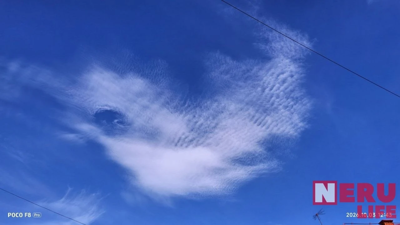 Птичка из облаков✨🕊️ А что вы увидели здесь?