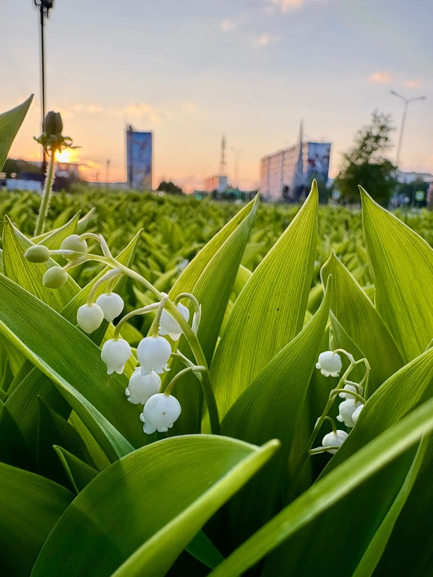 Доброго всем утра!❤️