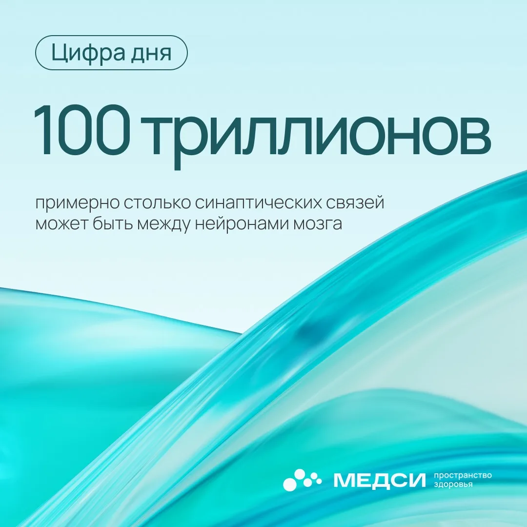 Именно благодаря этим контактам миллиарды нервных клеток обмениваются сигналами и образ...