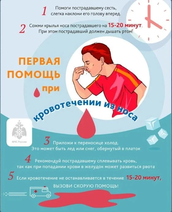 Кровь из носа? Знаешь, что делать? 🩸