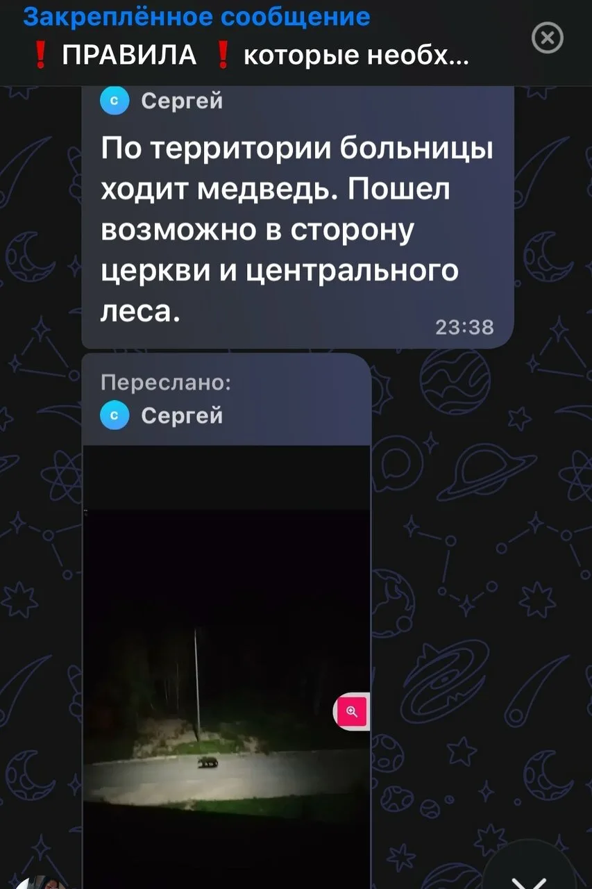 ⚡ ⚡ ⚡ Подписывайтесь на городской чат 💭👇🏻👇🏻👇🏻