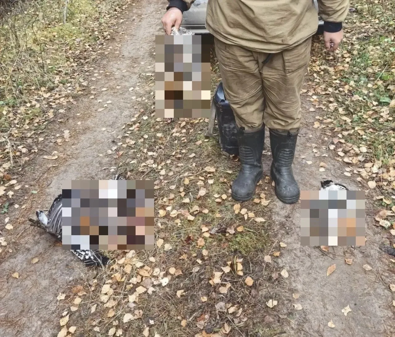 «Полный букет нарушений»: в Вилегодском заказнике задержали браконьеров 😮🌲