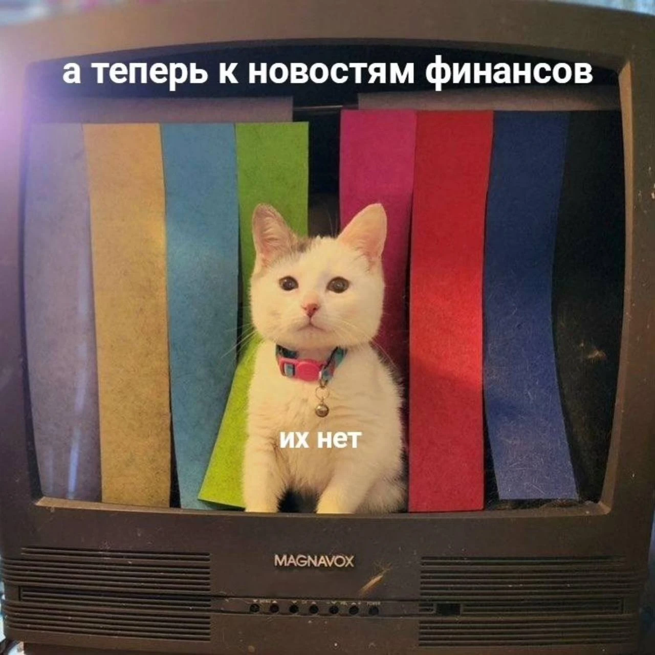 Фото