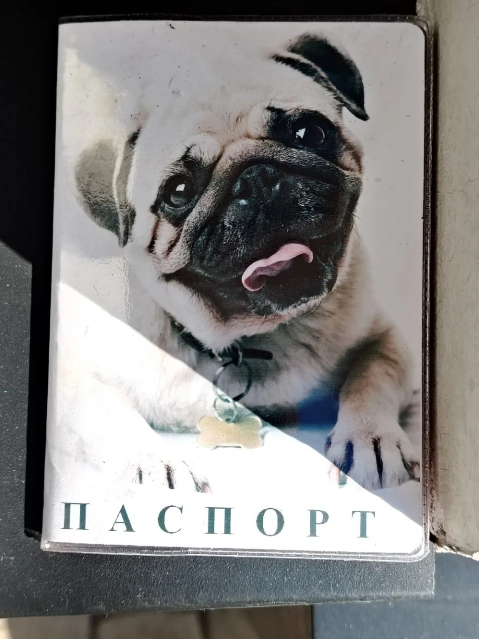 Нашла паспорт на пересечение улиц Греческая-п.Тургеневский, на имя Солодянкина Елена Па...