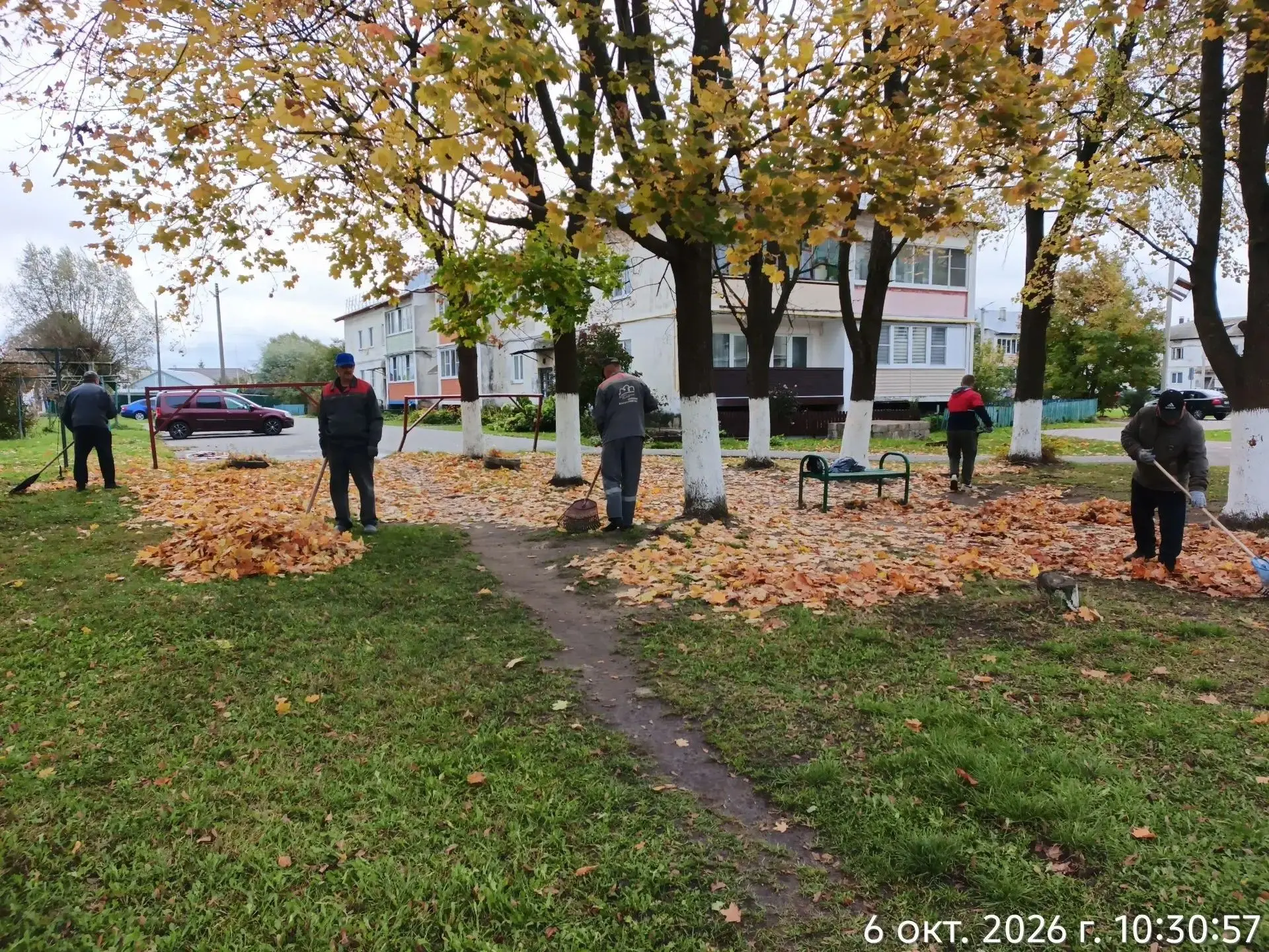 🍂 Осень — красивое, но хлопотное время. Золотая листва радует глаз, но на дорогах и тр...