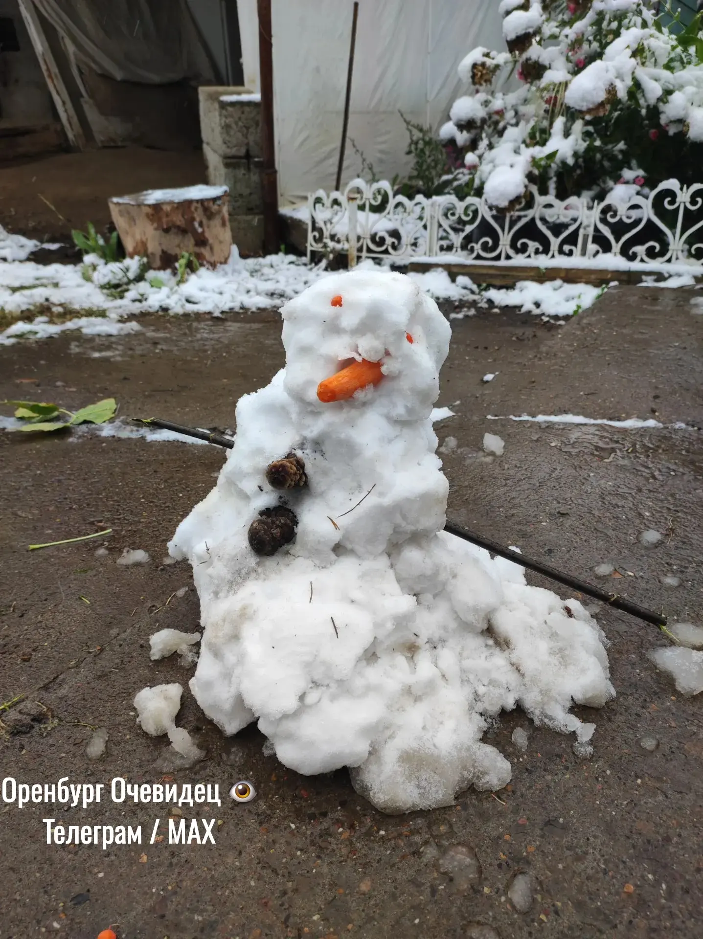 Оренбургский район с. Пречистинка