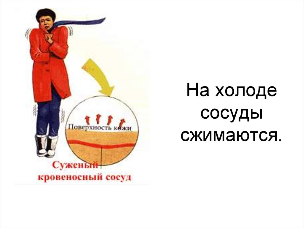 Синие пальцы: почему это не просто «мерзлявость»?
