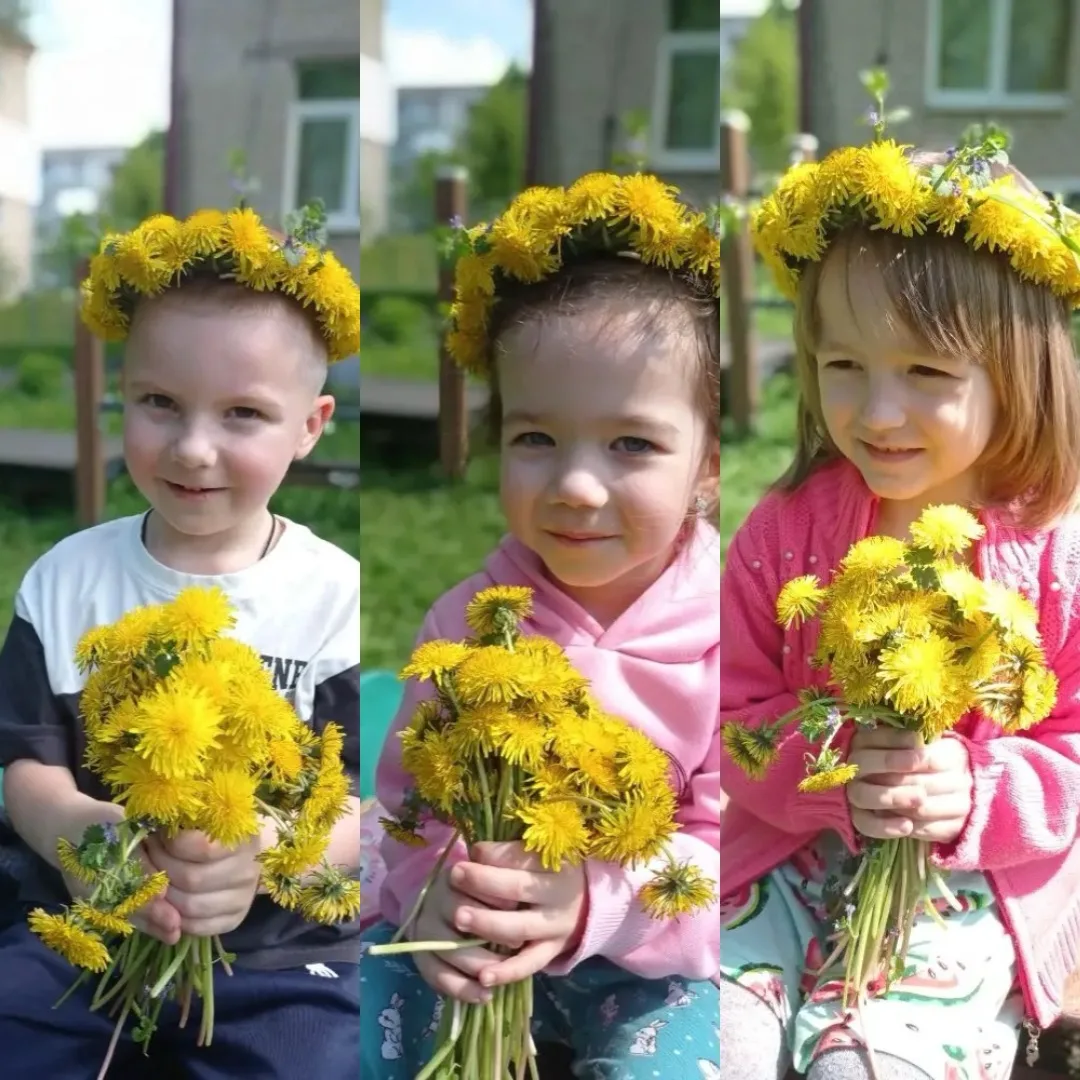 Сегодня 13 мая отмечается -день одуванчика🌼