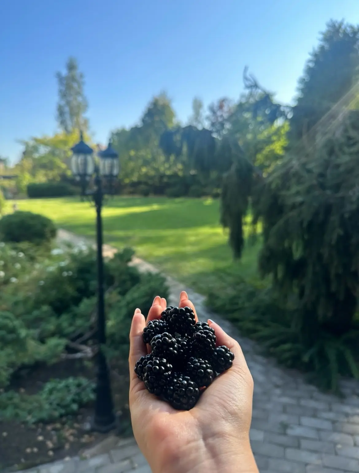 🌳 Не только дом, но и участок.