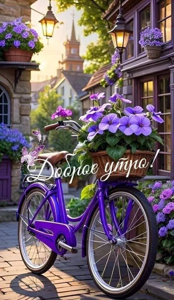 Галерея Открыток