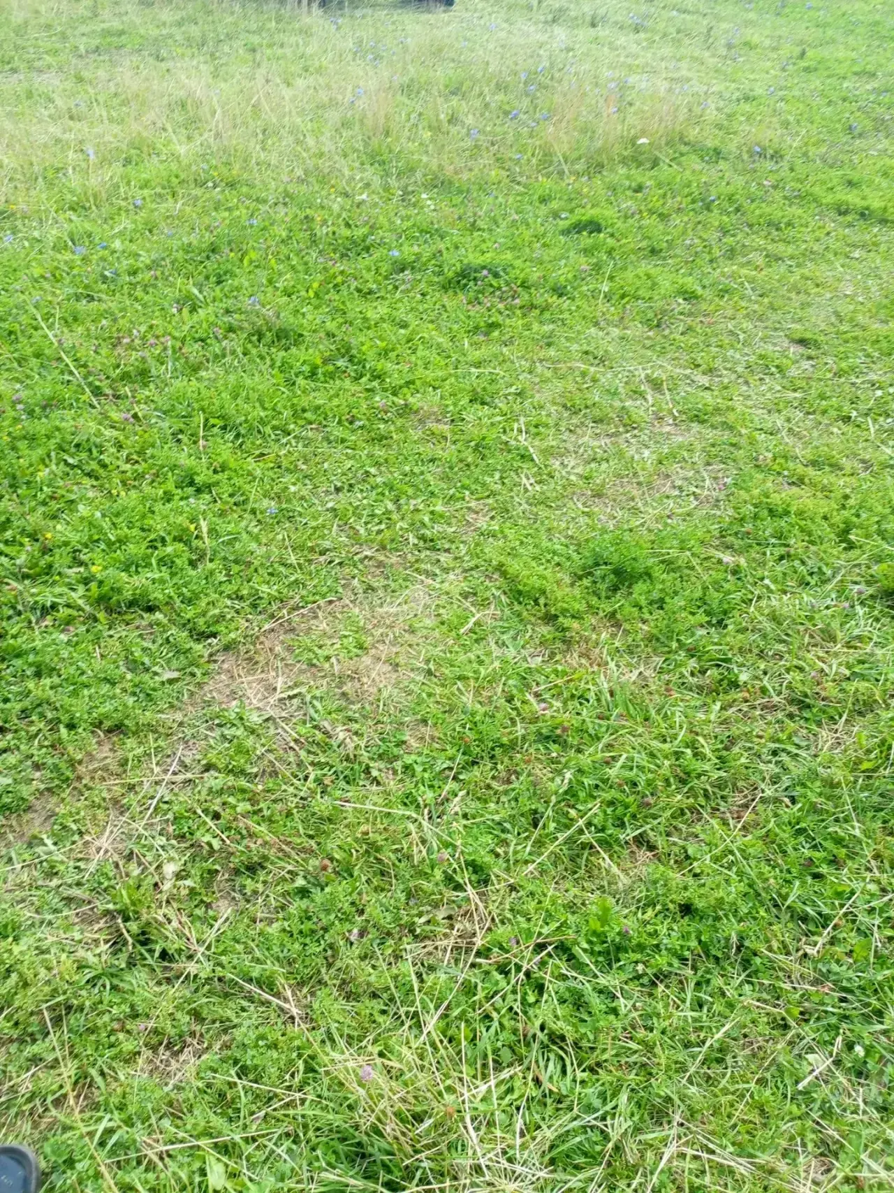 Благородство в действии! 🚜❤️