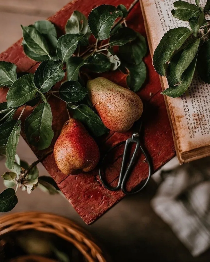Пожалуй, никогда не следует выражать свои чувства словами.  — Оскар Уайльд 📚«Портрет Дориана Грея»  