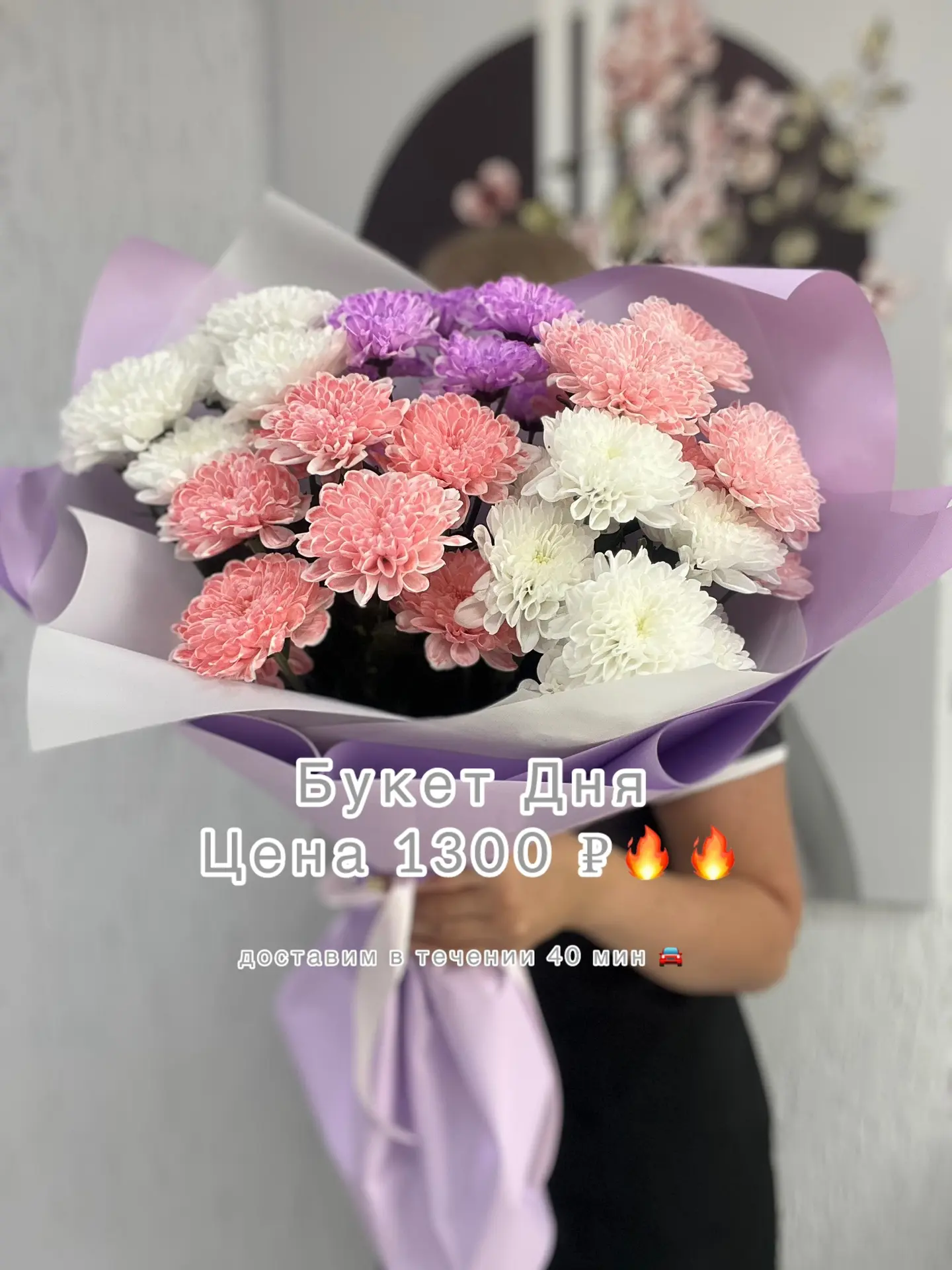 Супер предложение для любителей хризантем 💐