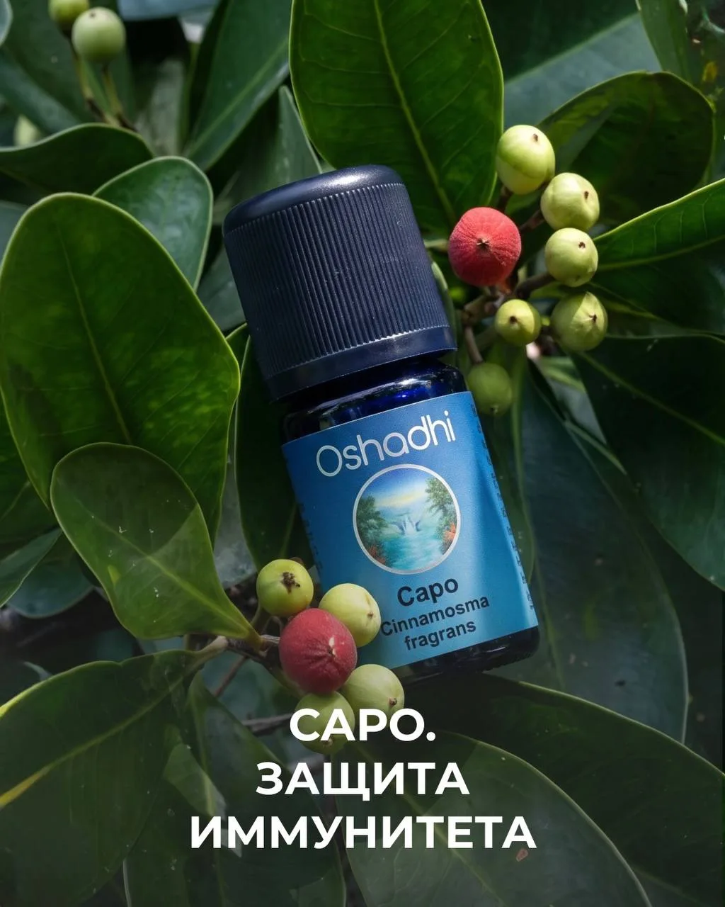 САРО НА СТРАЖЕ ЗДОРОВЬЯ