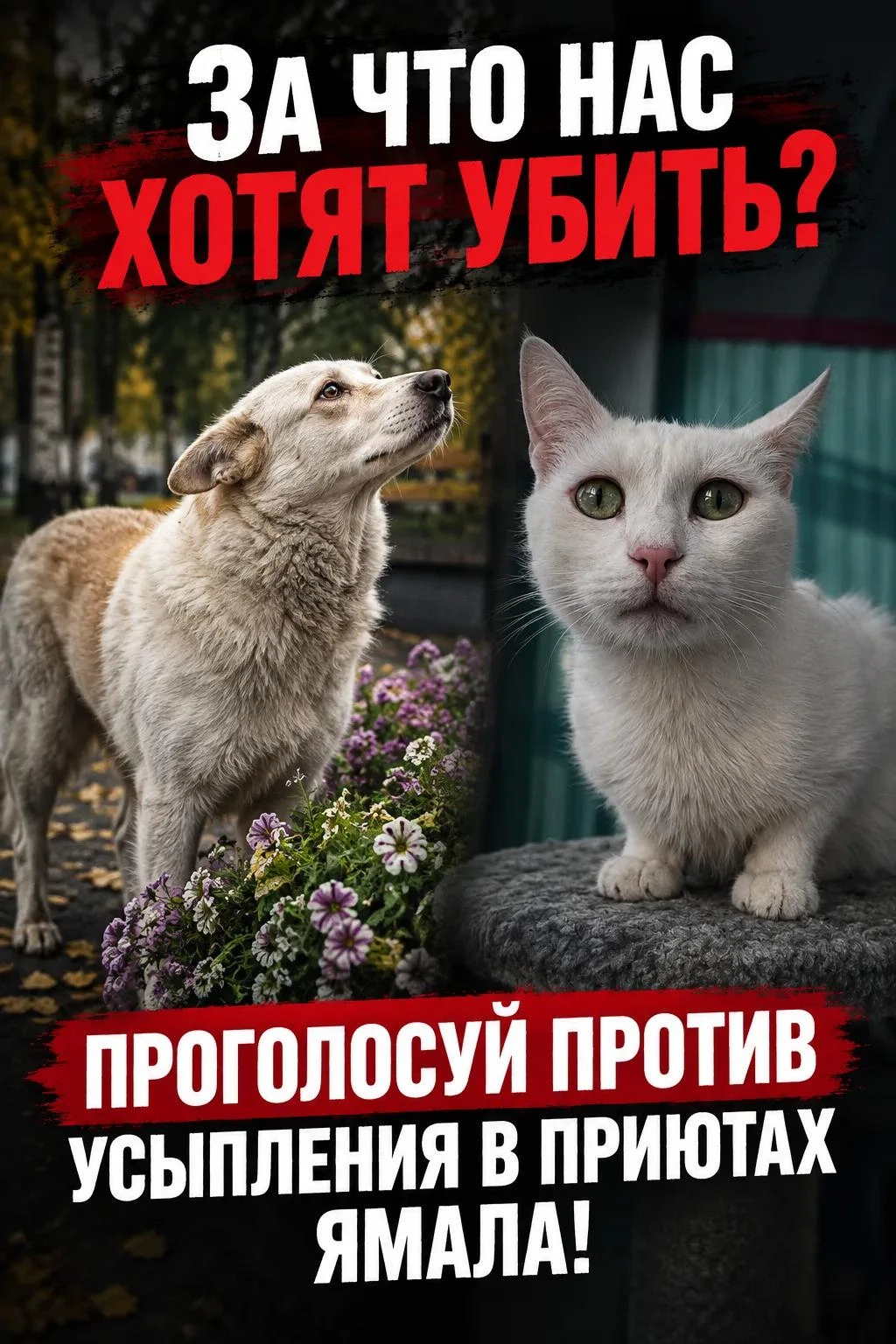 📢 Голосуйте ПРОТИВ усыпления животных в приютах Ямала!