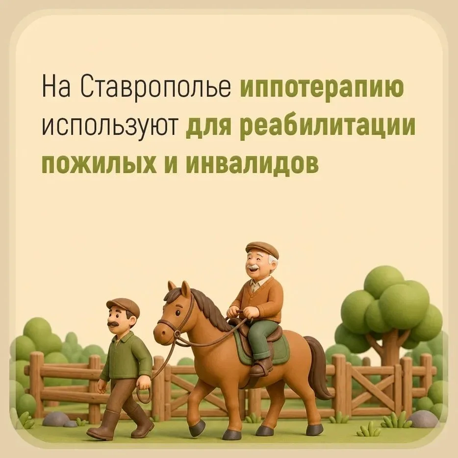 На Ставрополье для реабилитации пожилых людей и инвалидов используют иппотерапию
⁣
Краевой геронтоло