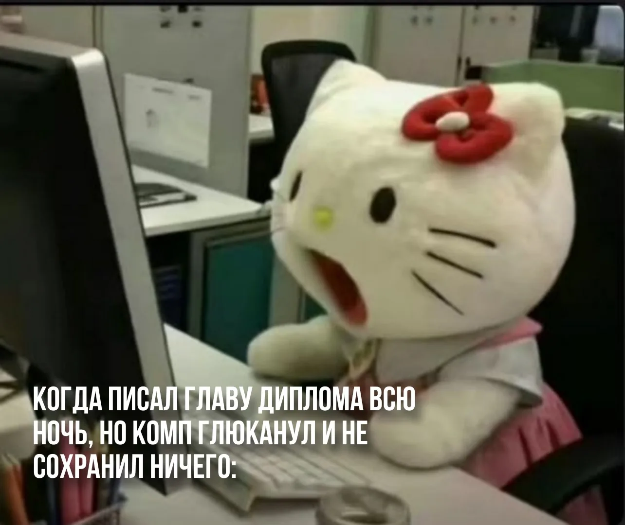 Я во время сессии или написания диплома…😁