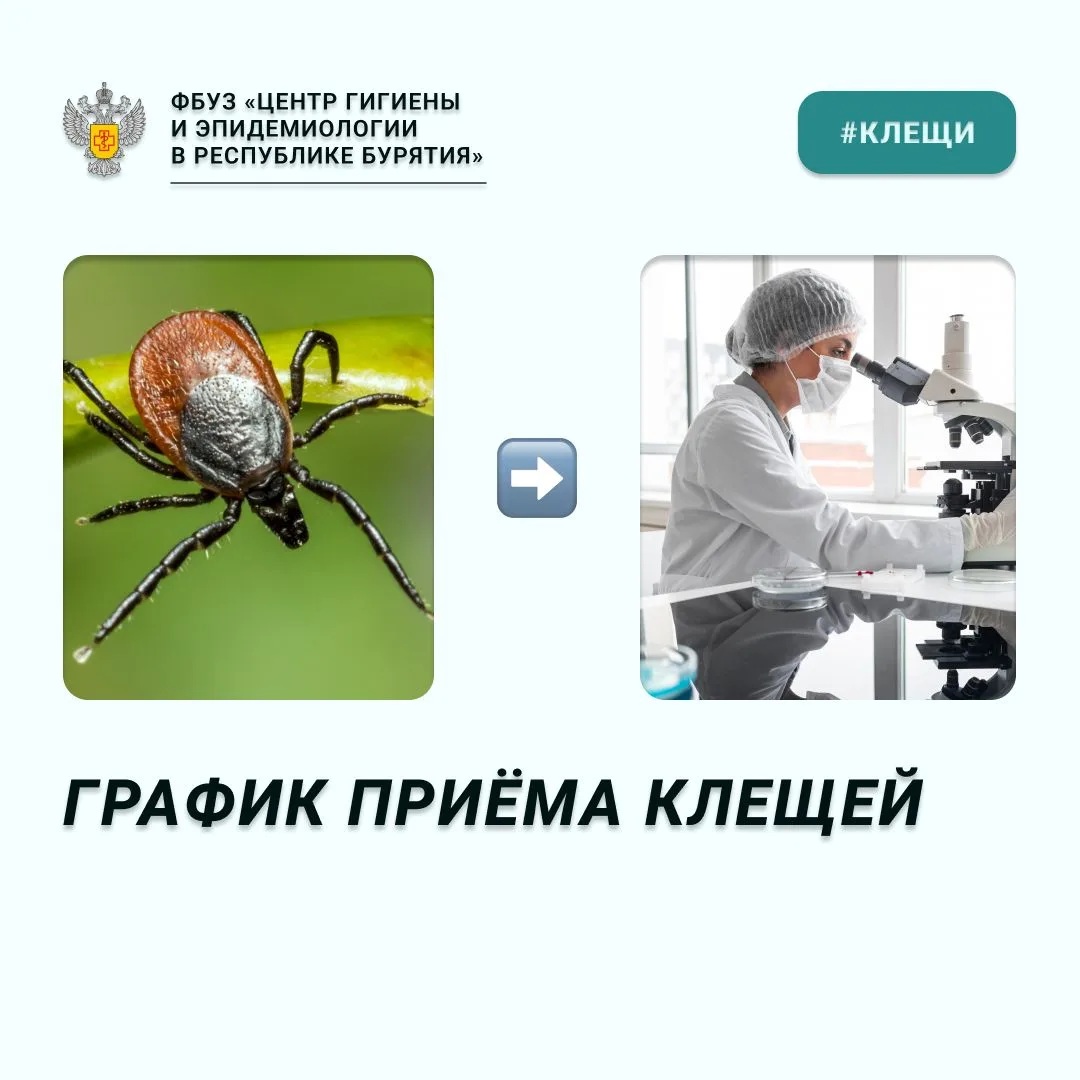 🔬Клеща — в лабораторию!️
