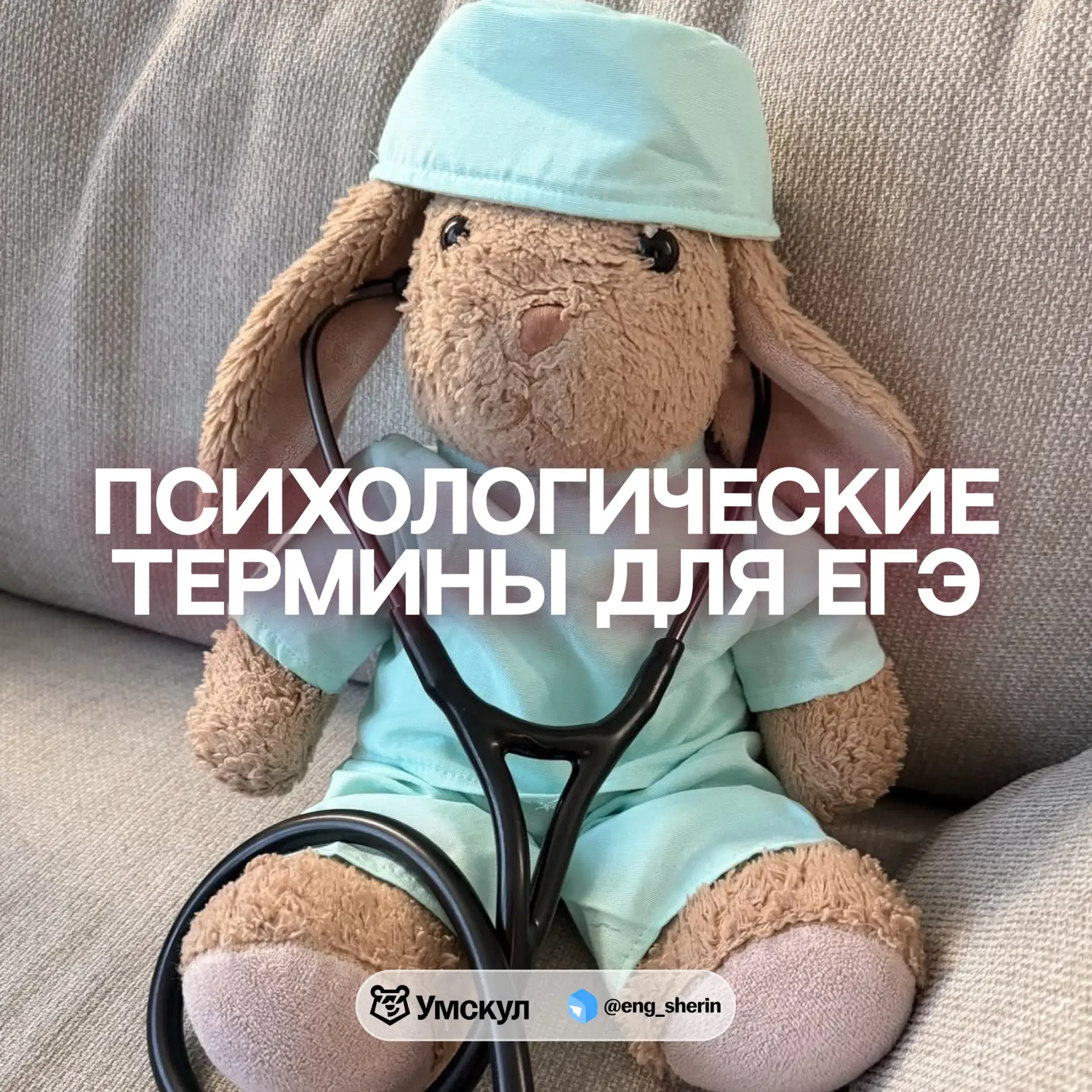 Психологические термины для ЕГЭ 🐾