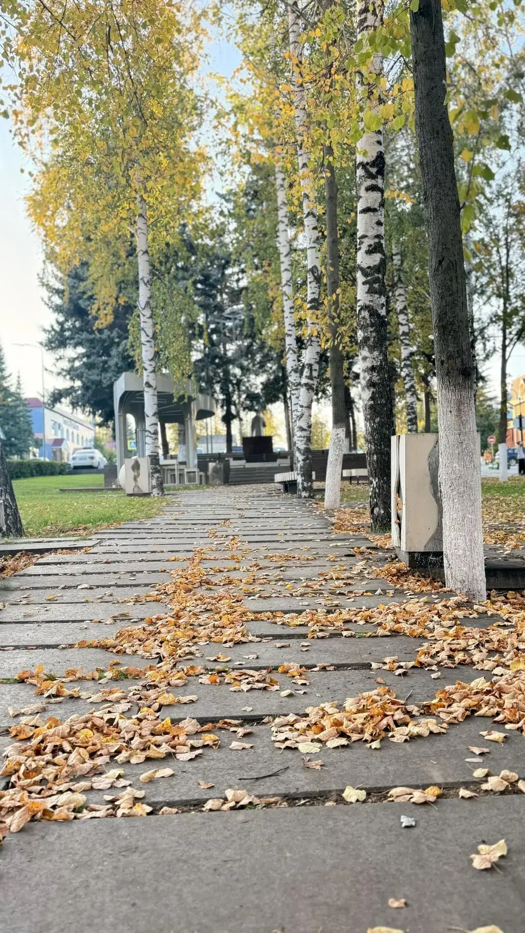 Доброго воскресного утра, Мамадыш! ☀️
