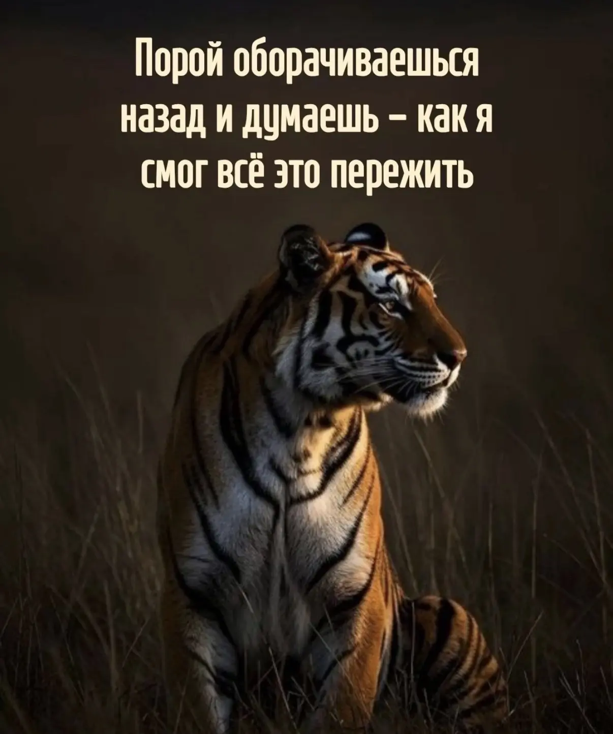 Красота слов